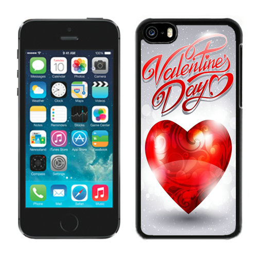 Valentine Love iPhone 5C Cases CKI